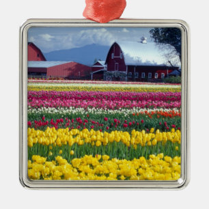 Tulip display field metal tree decoration