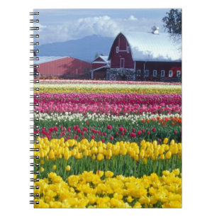 Tulip display field notebook