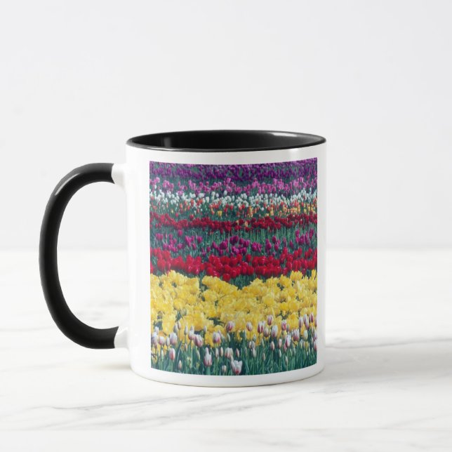 Tulip display garden in Skagit county, Mug (Left)