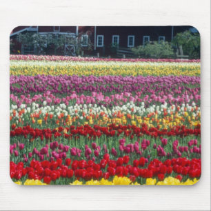 Tulip display garden, Skagit county, Mouse Pad
