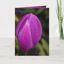 Tulip Easter Card