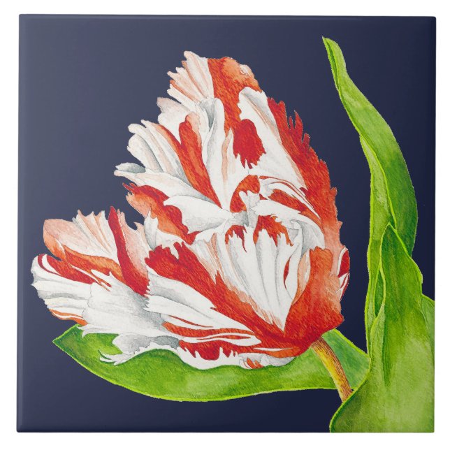 Tulip Estella Rijnveld on a Ceramic Tile (Front)