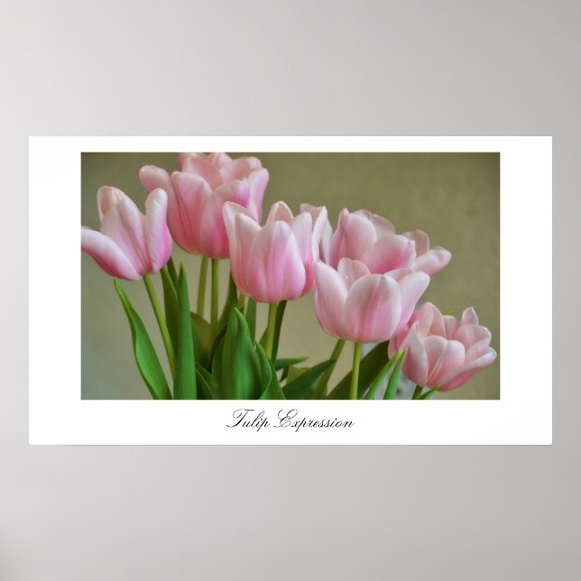 Tulip Expression Poster (Front)