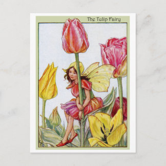 Tulip Fairy Postcard