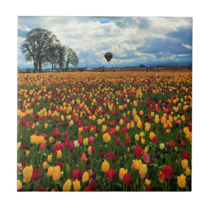 Tulip Farm in Oregon Ceramic Tile