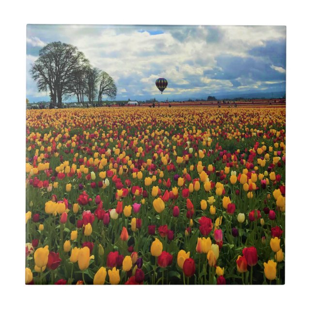 Tulip Farm in Oregon Ceramic Tile (Front)