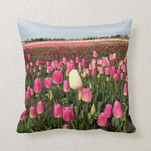 Tulip Farm in Oregon Cushion