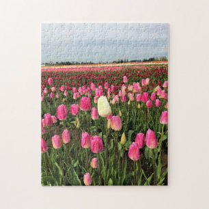 Tulip Farm in Oregon Jigsaw Puzzle