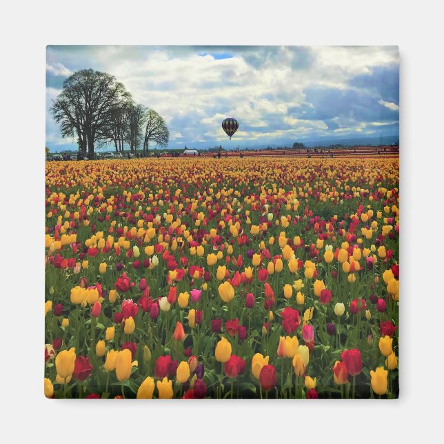 Tulip Farm in Oregon Magnet (Front)