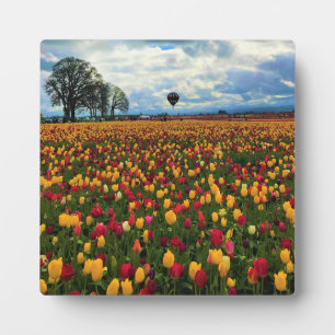 Tulip Farm in Oregon Plaque