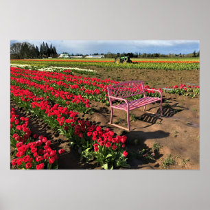 Tulip Farm in Oregon Poster