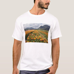 Tulip Farm near Agassiz, British Columbia, T-Shirt