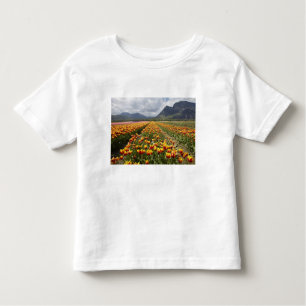 Tulip Farm near Agassiz, British Columbia, Toddler T-Shirt