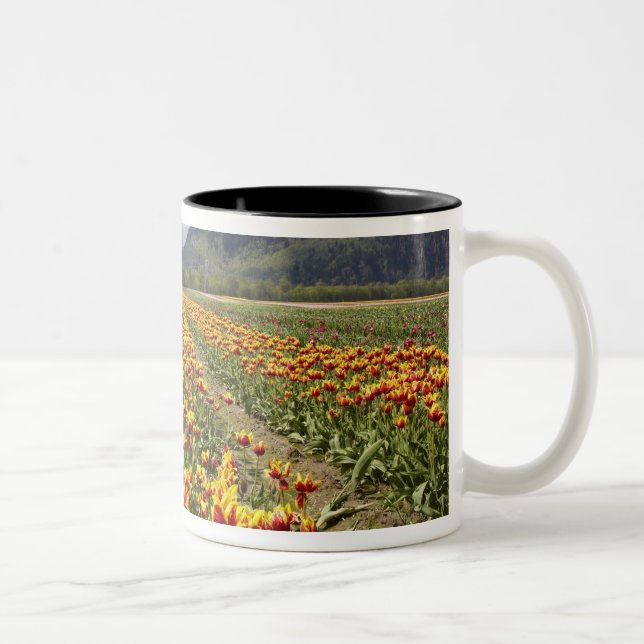 Tulip Farm near Agassiz, British Columbia, Two-Tone Coffee Mug (Right)