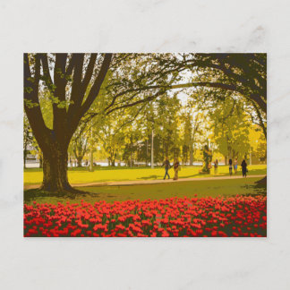 Tulip Festival in Ottawa Postcard