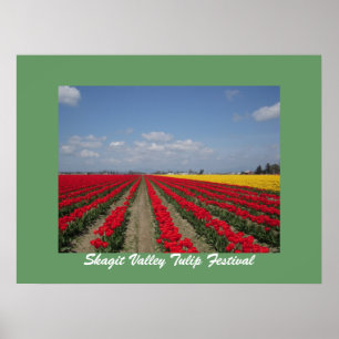 Tulip Festival, Skagit Valley Tulip Festival Poster