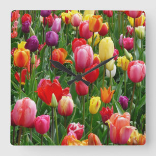 Tulip Festival Square Wall Clock