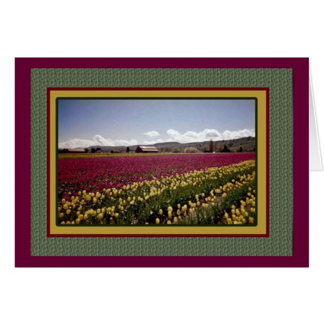 Tulip Field Blank Card (Front Horizontal)