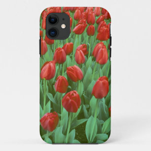 Tulip field blooms in the spring. iPhone 11 case