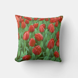 Tulip field blooms in the spring. cushion