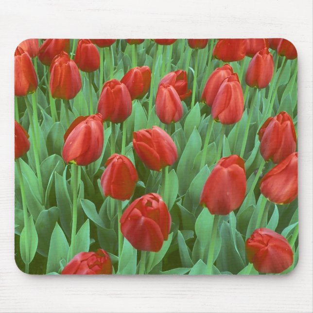 Tulip field blooms in the spring. mouse pad (Front)