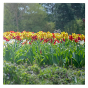 Tulip field ceramic tile