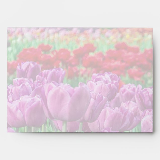 Tulip Field Envelopes (Front)