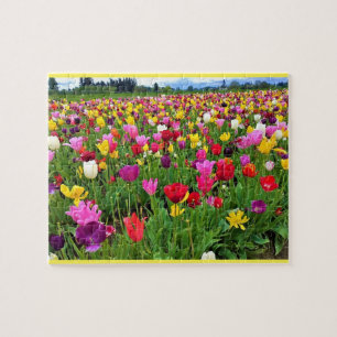Tulip Field, Oregon Jigsaw Puzzle