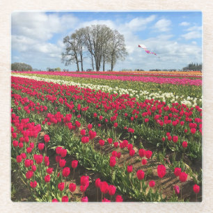 Tulip Field with Kite, Oregon Glass Coaster