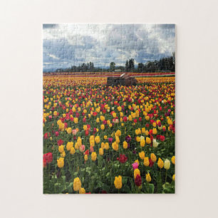 Tulip Field with Old Tractor, Oregon Jigsaw Puzzle