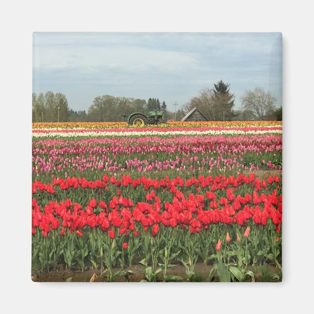Tulip Field with Tractor and Barn Magnet (Front)
