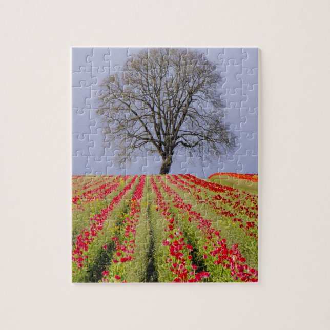 Tulip fields and a lone oak tree located near jigsaw puzzle (Vertical)