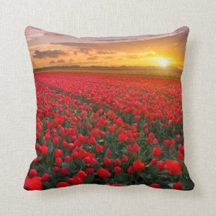 Tulip Fields at Sunset in the Netherlands Cushion