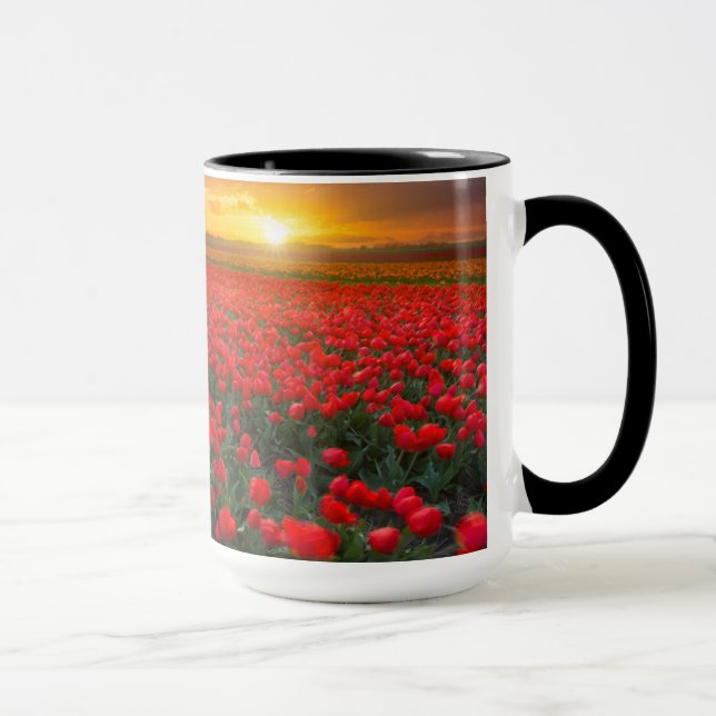 Tulip Fields at Sunset in the Netherlands Mug (Right)