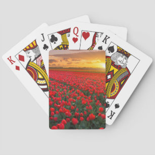 Tulip Fields at Sunset in the Netherlands Playing Cards
