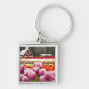 Tulip fields of Mt. Vernon, Skagit County, WA Key Ring