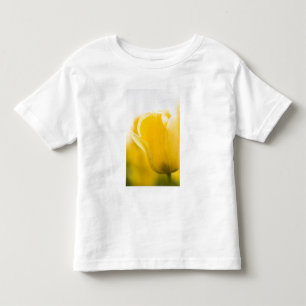 Tulip fields of Mt. Vernon, Skagit County, WA. Toddler T-Shirt