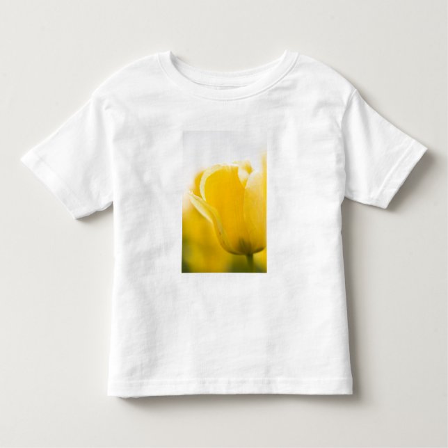 Tulip fields of Mt. Vernon, Skagit County, WA. Toddler T-Shirt (Front)