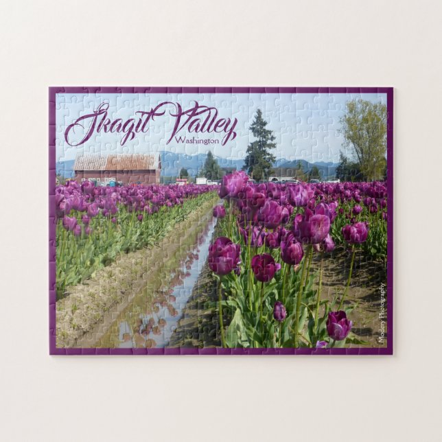 Tulip Fields (Purple) & Barn (Skagit Valley) Jigsaw Puzzle (Horizontal)