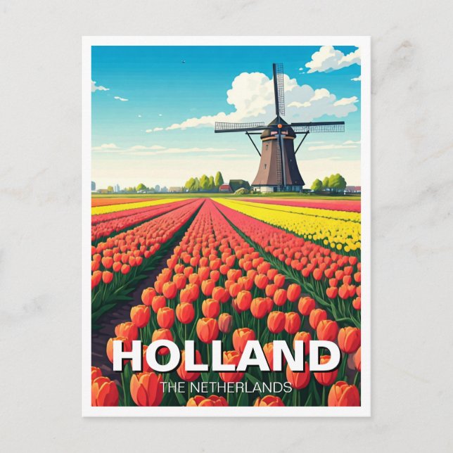 Tulip Fields Windmill Holland Netherlands Postcard (Front)