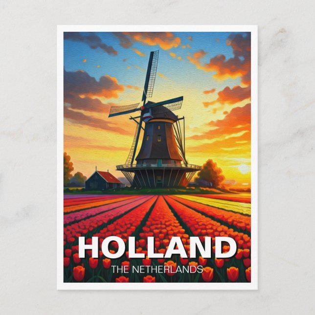 Tulip Fields Windmill Holland Sunset Postcard (Front)