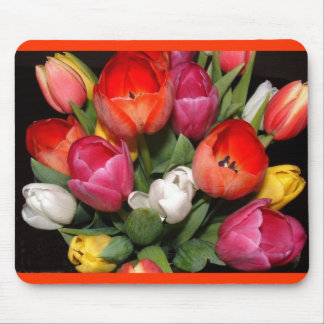 Tulip Fireworks Mouse Pad