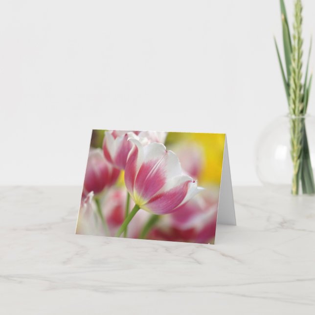 Tulip Floral Note Cards (Front)