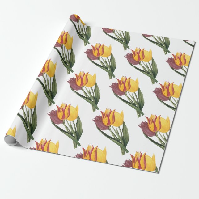 Tulip Flower Pattern Wrapping Paper (Unrolled)