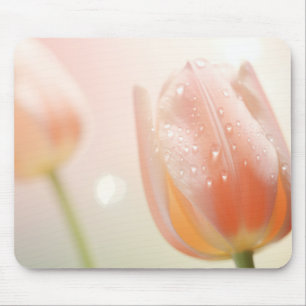 Tulip Flower Petal Nature Serene Calm Mouse Pad