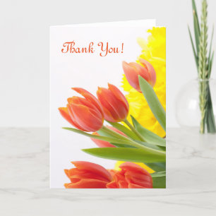 Tulip Flower Petals Orange Nature Thank You