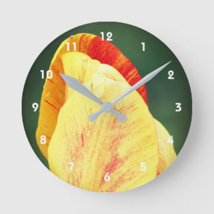 Tulip Flower Petals With Raindrops Close Up  Round Clock