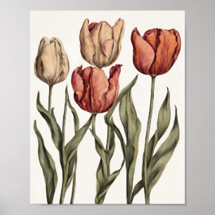 Tulip flower poster
