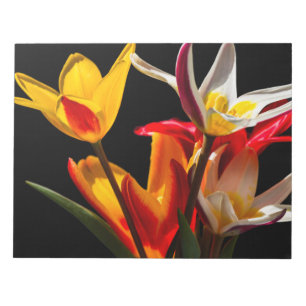 Tulip flowers against black background notepad