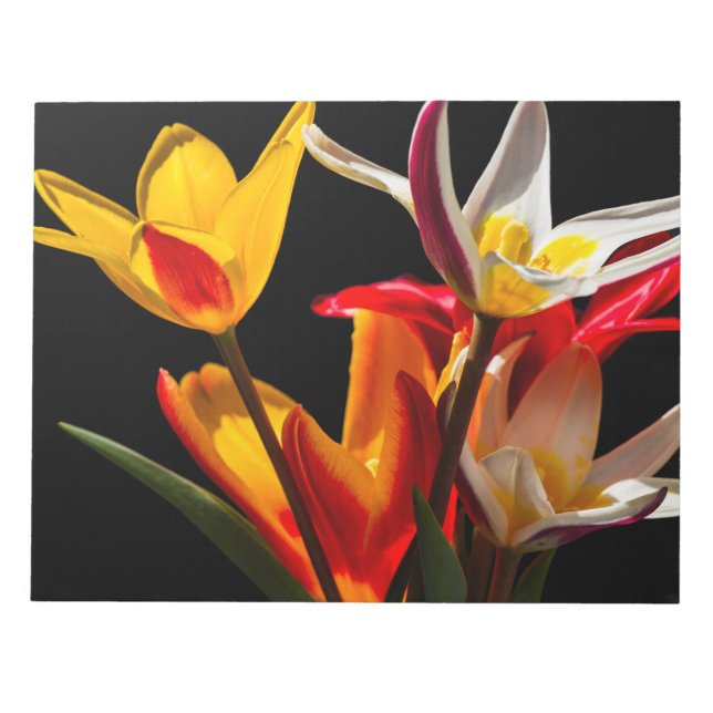 Tulip flowers against black background notepad (Front)